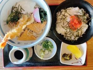 井の屋和白店