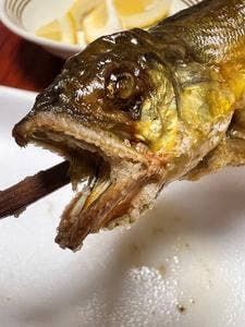 角上魚類 日野店