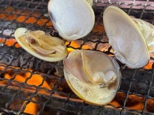 焼蛤 浜茶屋 向島