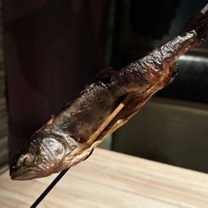 今日ワ魚 上野店