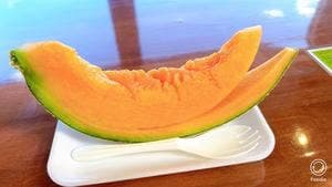 とみたメロンハウス