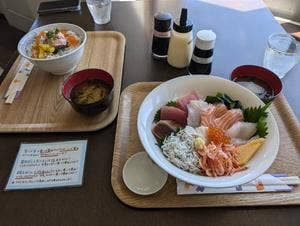 ワタツミ