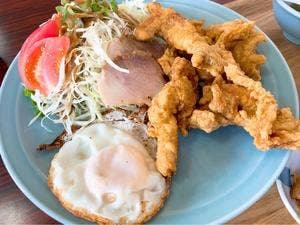 柳華園