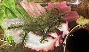 すぎやん
