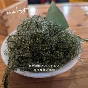 大衆酒場 きぶんや 本店