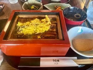 熊本 上乃裏 うな雅