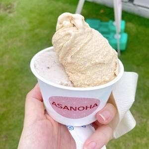 JAPANESE GELATERIA ASANOHA