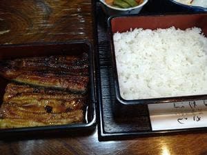 うなぎ割烹むさし