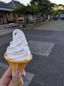 清川ふるさと物産館 夢市場 道の駅きよかわ