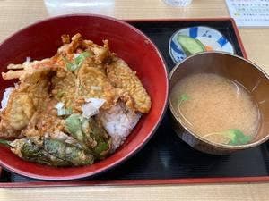 さがみ湾