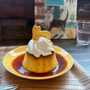 Rough&Tough Coffee Stand