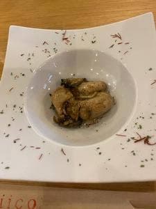 tuGiico