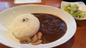 Kasik