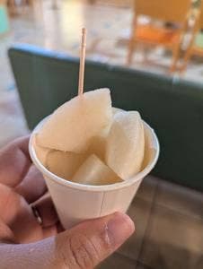 鳥取二十世紀梨記念館 なしっこ館