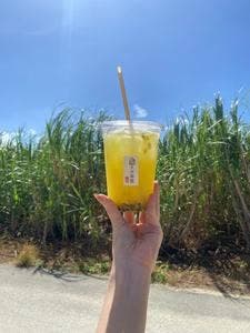 さとうきびと島の食材 宮古きび茶屋