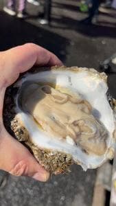 那珂湊 森田水産