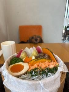 トトのエ