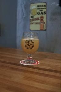 Beer Secondary Base