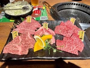 くろべこ 溝の口店