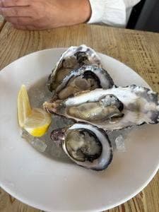 Oyster&Smoked BAR SANGO