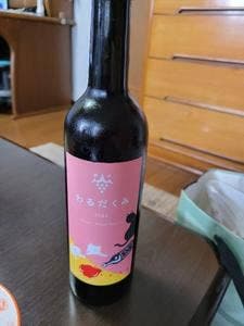 山藤ぶどう園 バーベキュー