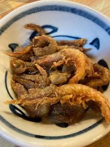 もりもと