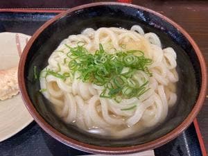 うつ海うどん