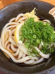 讃岐うどん ひめはま