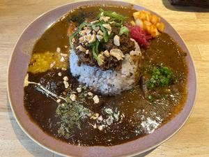 curry safari