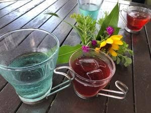 ハーブランドシーズン