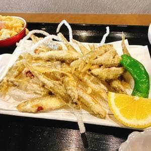 お魚とお酒 うはる