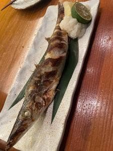 魚魚権 神泉