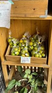 べにいも屋