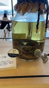 キタナカガーデン EMウェルネス 暮らしの発酵ライフ スタイルリゾート
