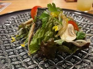 みくり桑