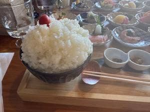 かへ.nokoto