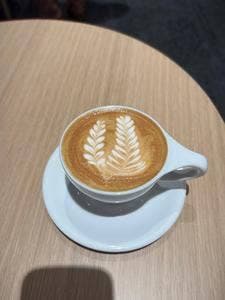 FENDER CAFE