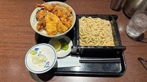 大井更科