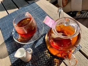 garden cafe ALL THE ORZA