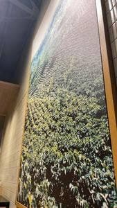 スターバックス コーヒー 刈谷東境店