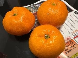 オレンジハウス