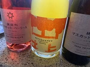 井上ワイナリー のいち醸造所