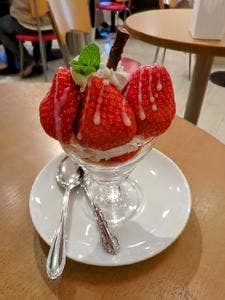 アオイ農園 ぶどうの木