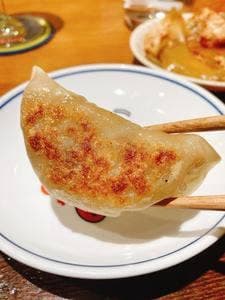 GYOZA SHACK DANRO