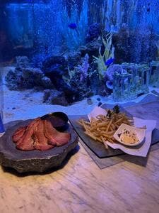 上野 アクアリウムレストラン Nautilus