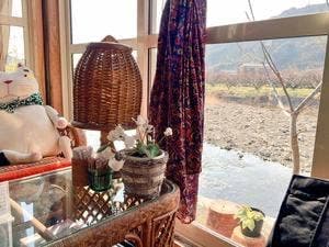 いこら茶屋