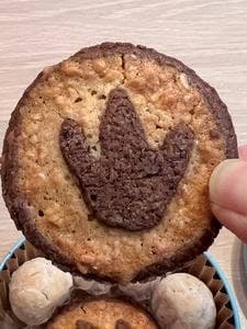 恐竜菓子店