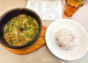SOUPCURRY KAJU