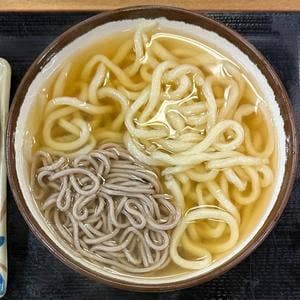 さか枝うどん 南新町店