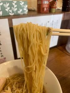 海鳥